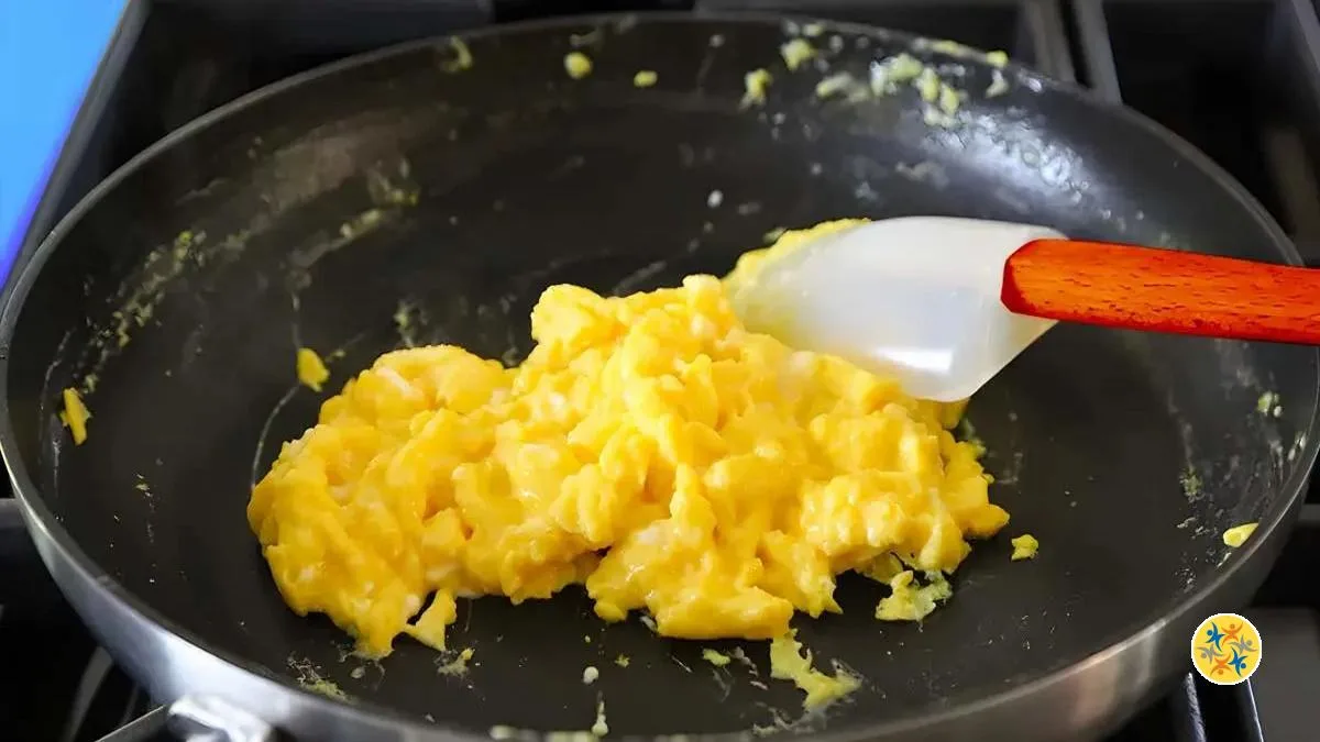Morceaux lyophilisés recette au poulet élevé en liberté pour chiens, 227 g