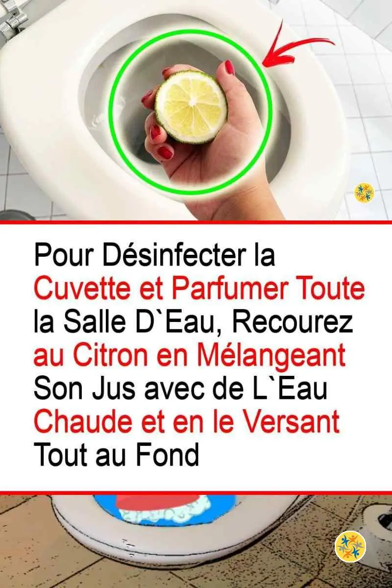 Vos Toilettes Sentiront Bon Désormais suite à ces 4 Astuces 6 Instructions d'usage du citron pour parfumer les toilettes