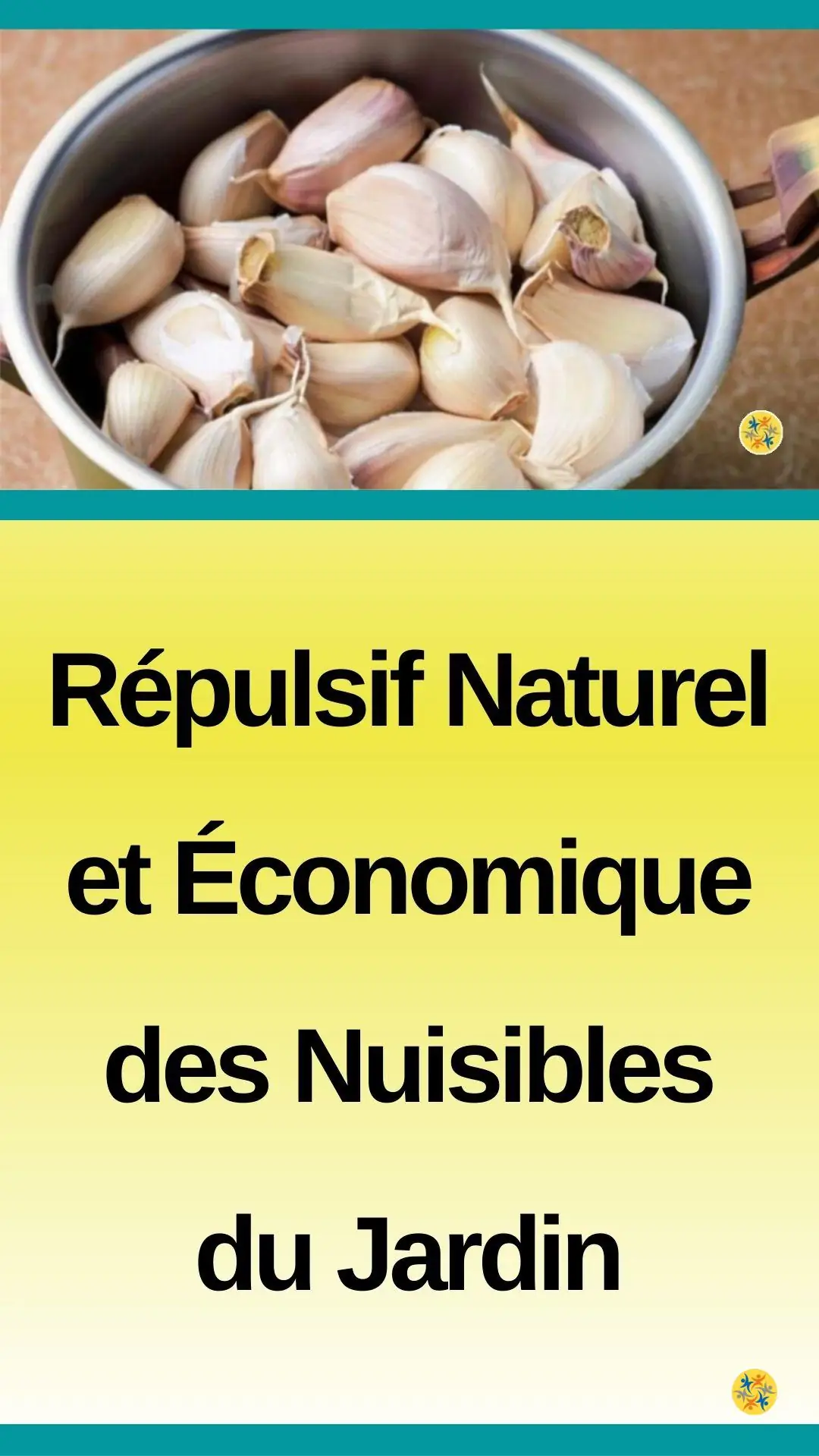 Les bienfaits des gousses d'ail pour assainir votre jardin 