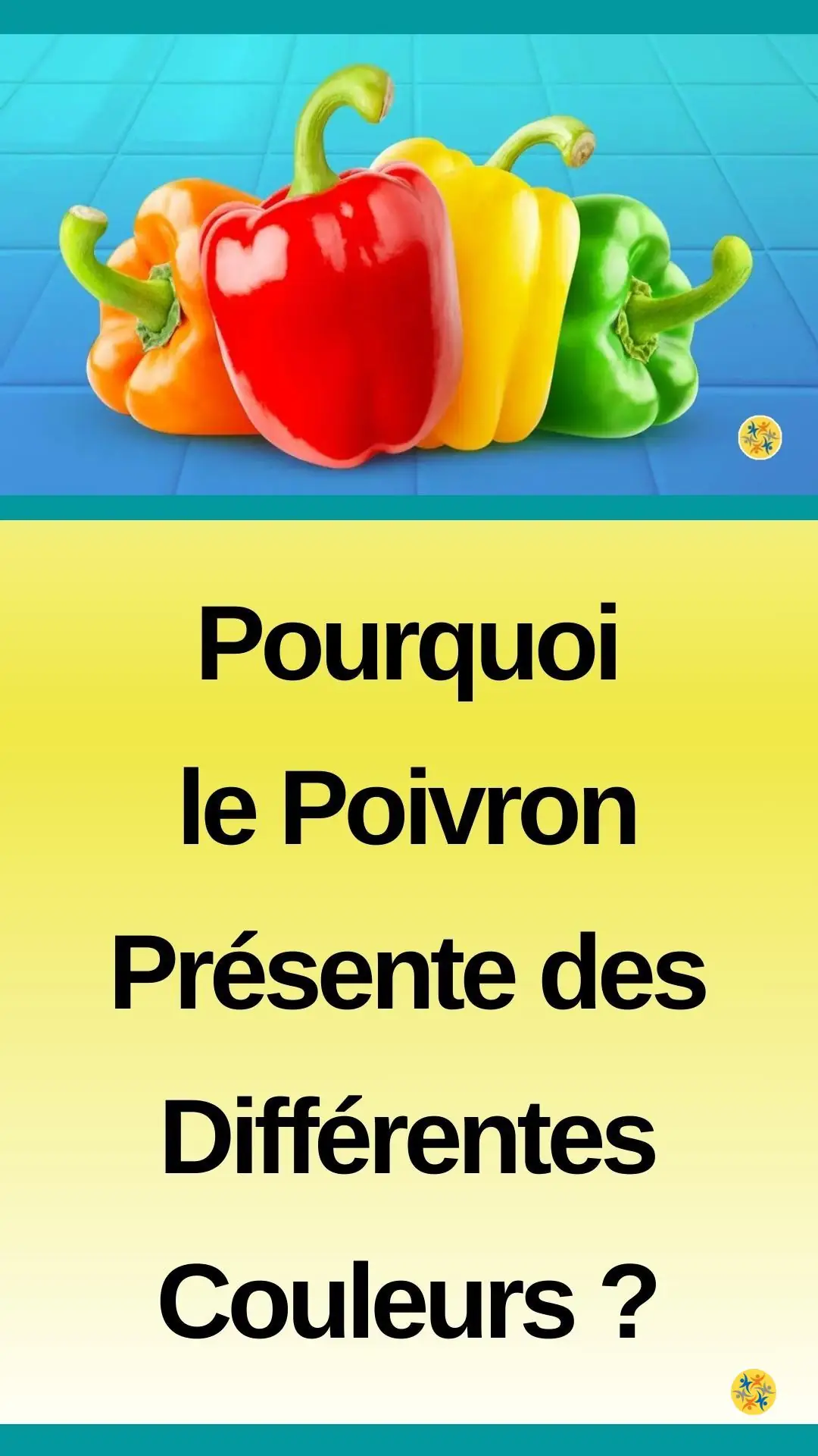 Connaître mieux les poivrons et savoir les conserver 