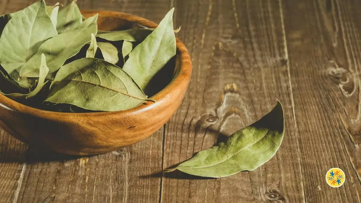 Chassez ces Parasites de chez Vous avec 6 Solutions 46 astuce avec les herbes aromatiques pour les insectes ravageurs