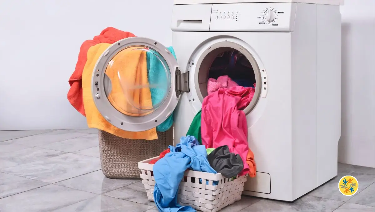 Quelle Température pour Laver le Linge ?