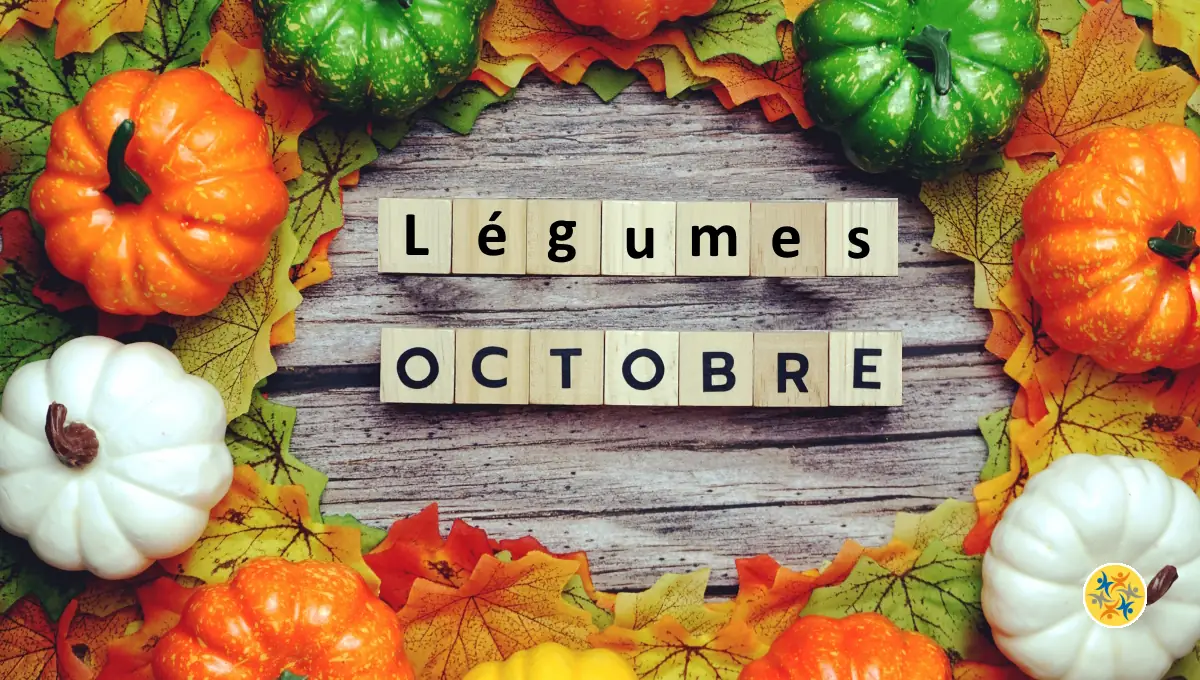Quels Sont Les Meilleurs Légumes d&rsquo;Octobre pour Votre Santé ?