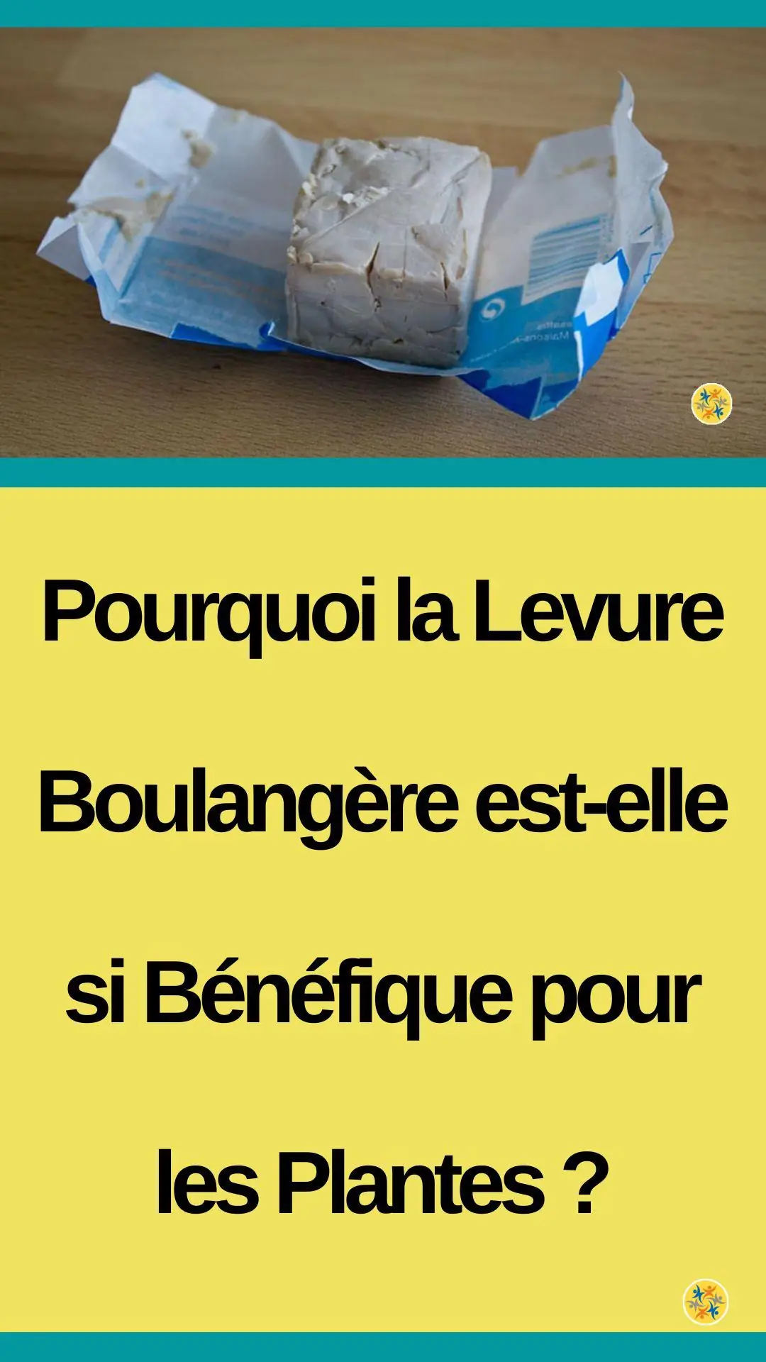 Fertilisation naturelle et économique des plantations 