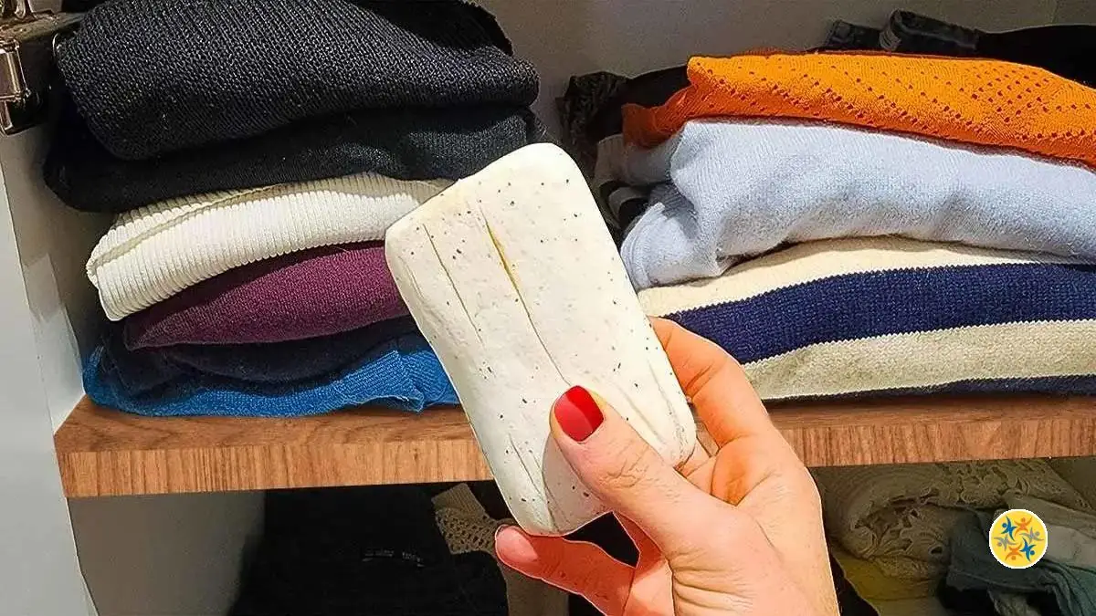 Pour un Linge qui Sent toujours Bon Essayez ces 5 Solutions