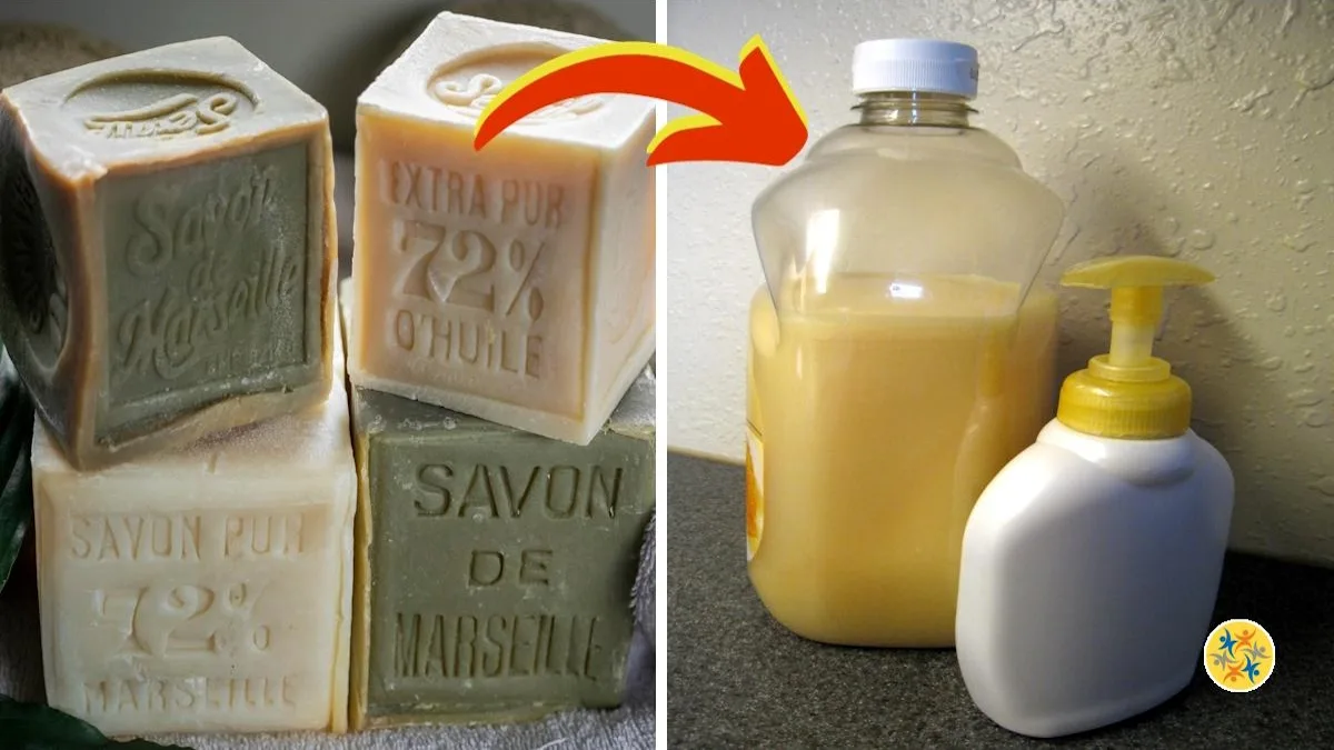 Enfin un Liquide Vaisselle Maison à Base du Savon de Marseille
