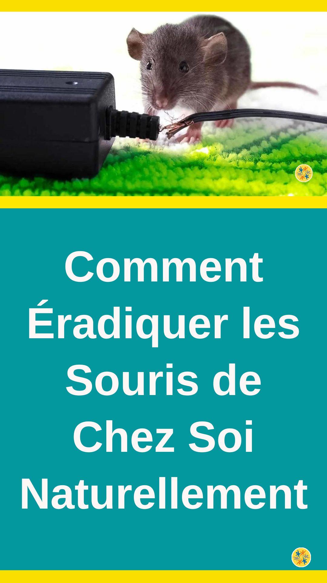 Produits écologiques répulsifs de rongeurs