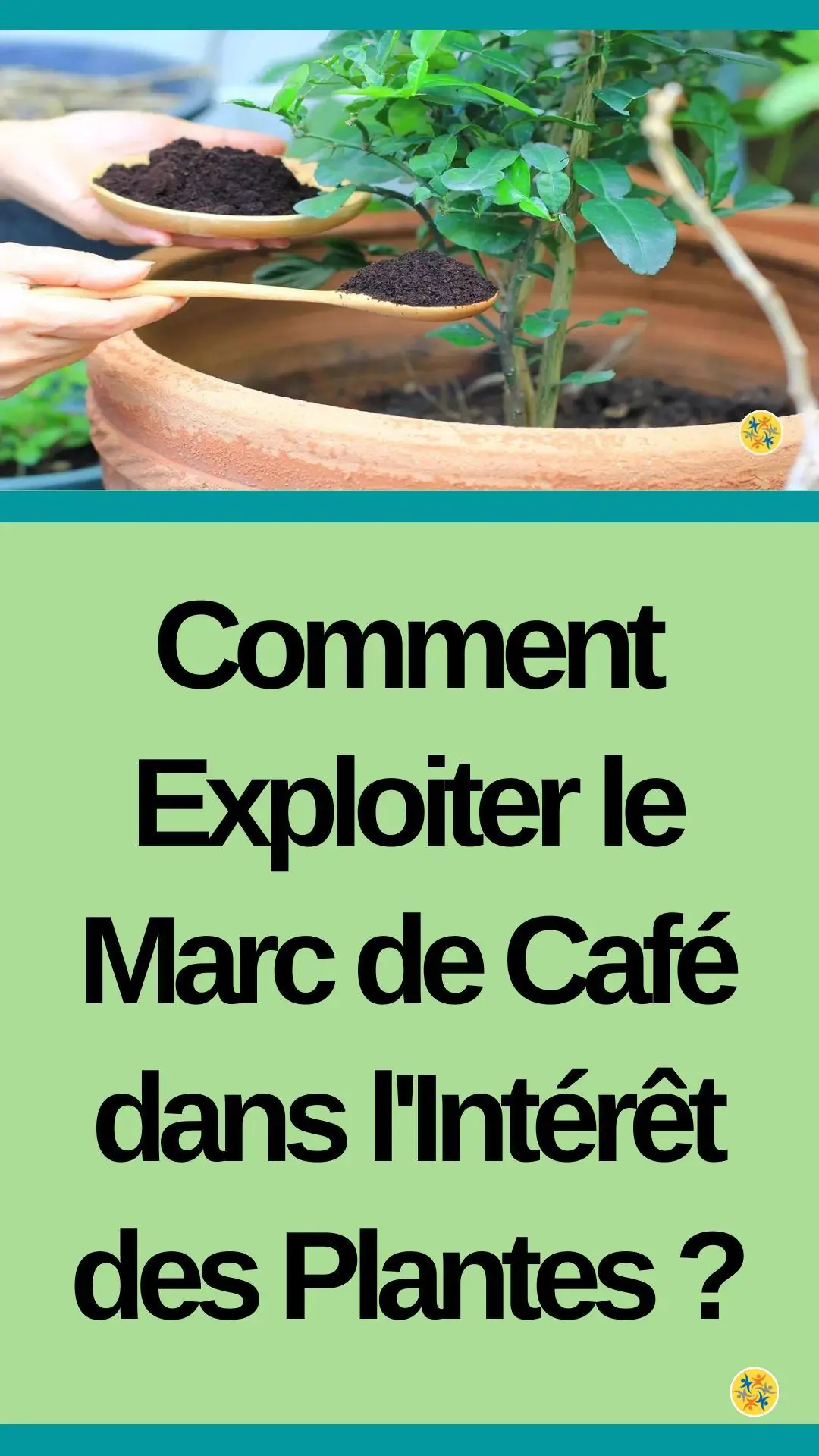 Exploitation des déchets de café pour la végétation 