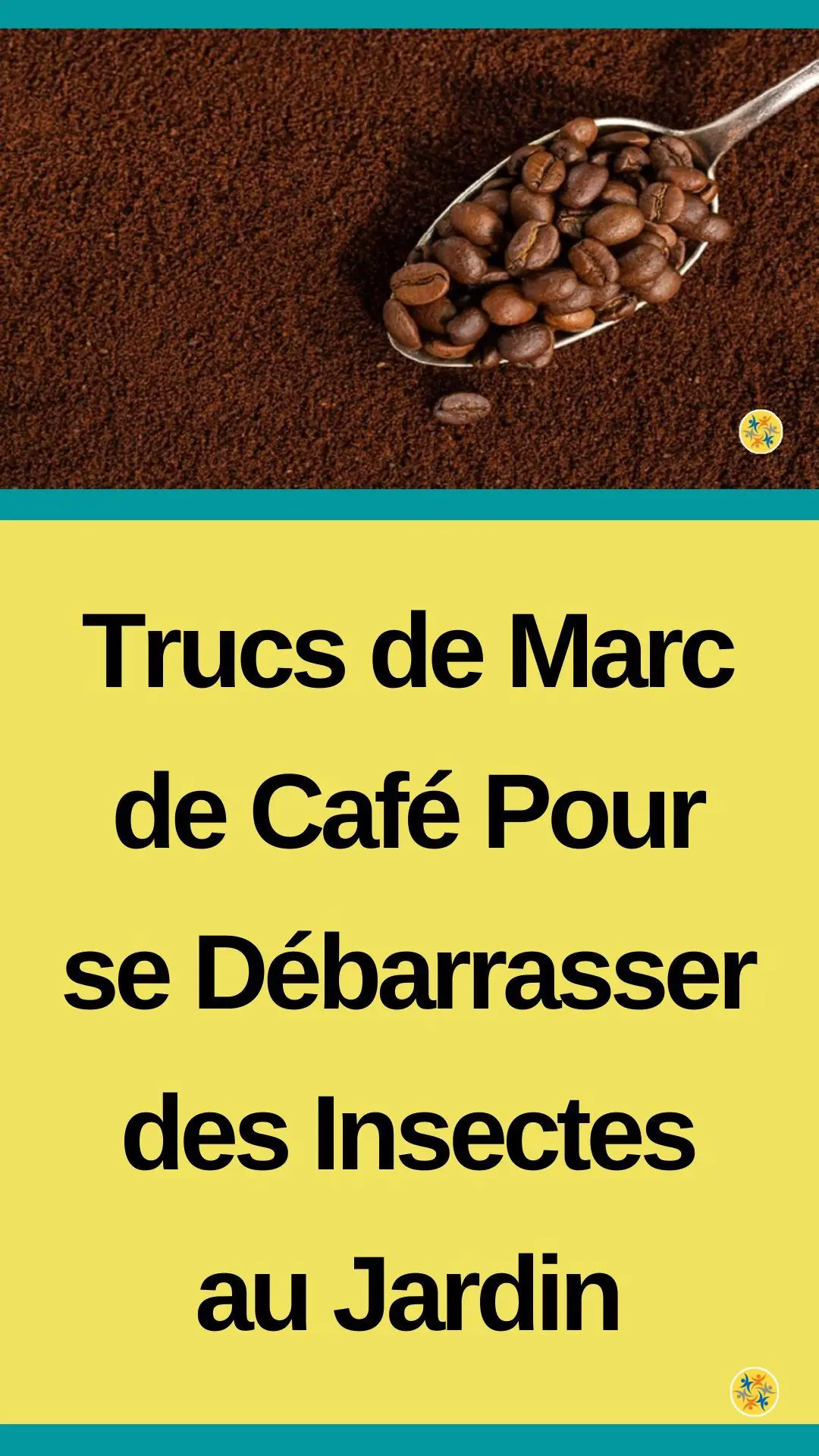 Utilisations du marc de café au jardin 