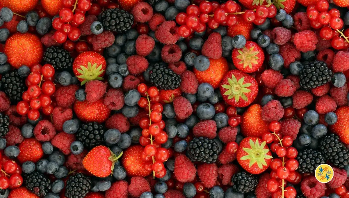 Les Bienfaits Inestimables des Fruits Rouges