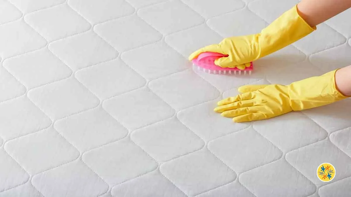 Nettoyer un Matelas Jauni Avec 9 Méthodes Pratiques