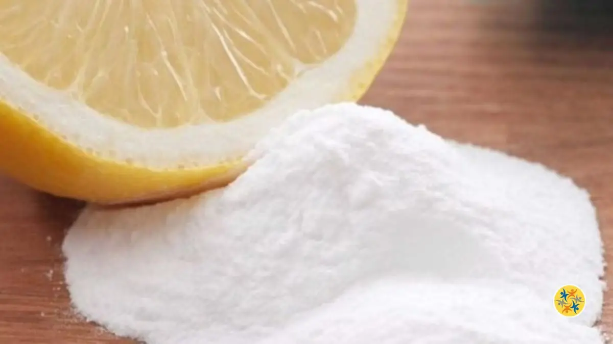 2 Moyens Modestes pour Dire Adieu aux Nausées 11 Remèdes naturels contre les nausées