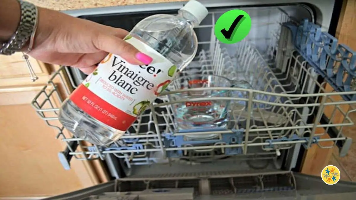 Comment Détartrer le LaveVaisselle par le Vinaigre Blanc?