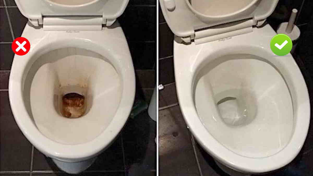 Nettoyage Toilette  D crasser la cuvette Sans Effort