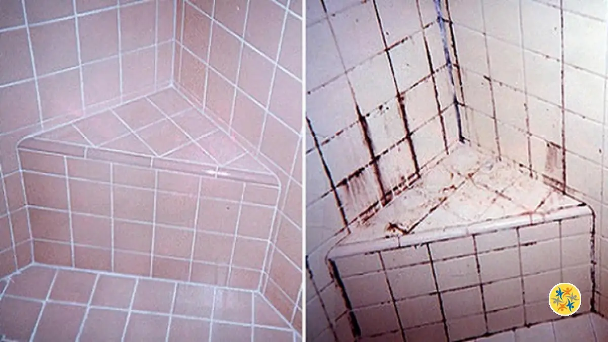 Comment Faire un Nettoyant-maison et l’Appliquer à la Salle de Bain