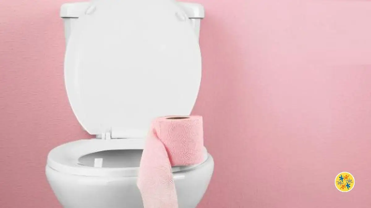 Des Toilettes qui Sentent la Propreté Voici le Secret!