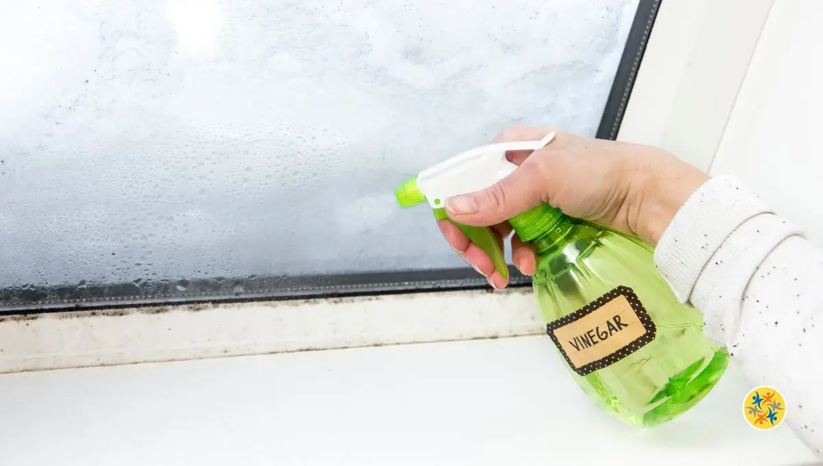 Comment nettoyer vos vitres avec une solution naturelle