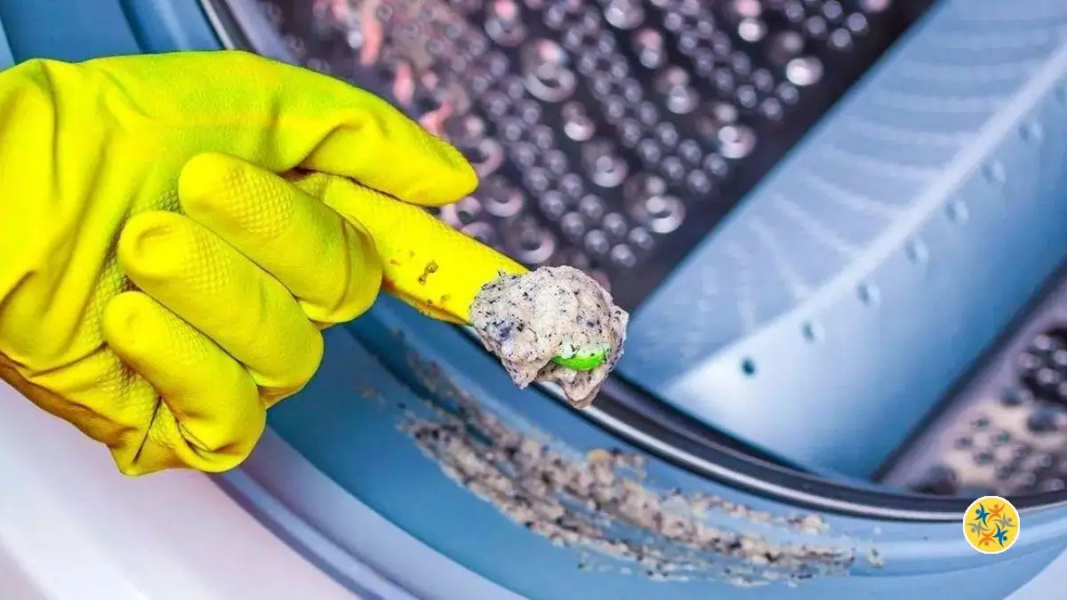 Nettoyez et Désodorisez la Machine à Laver sans Produit Chimique