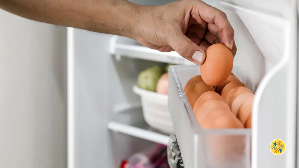 Ne Mettez Plus les Œufs dans la Porte du Frigo !