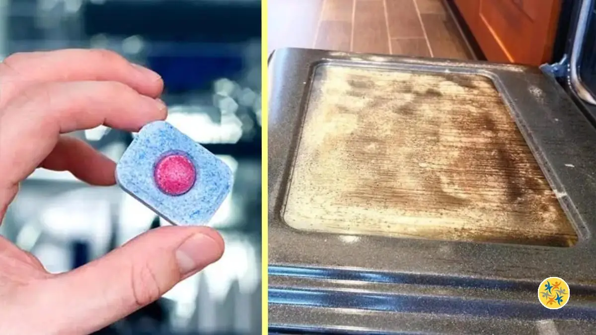 Pastille pour Lavevaisselle Comment l’utiliser pour Nettoyer son Four