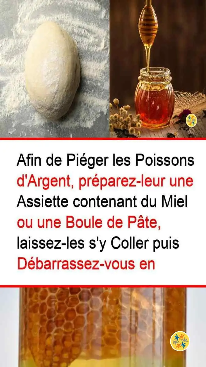 Chassez ces Parasites de chez Vous avec 6 Solutions 50 Pièges aux glucides pour quelques parasites