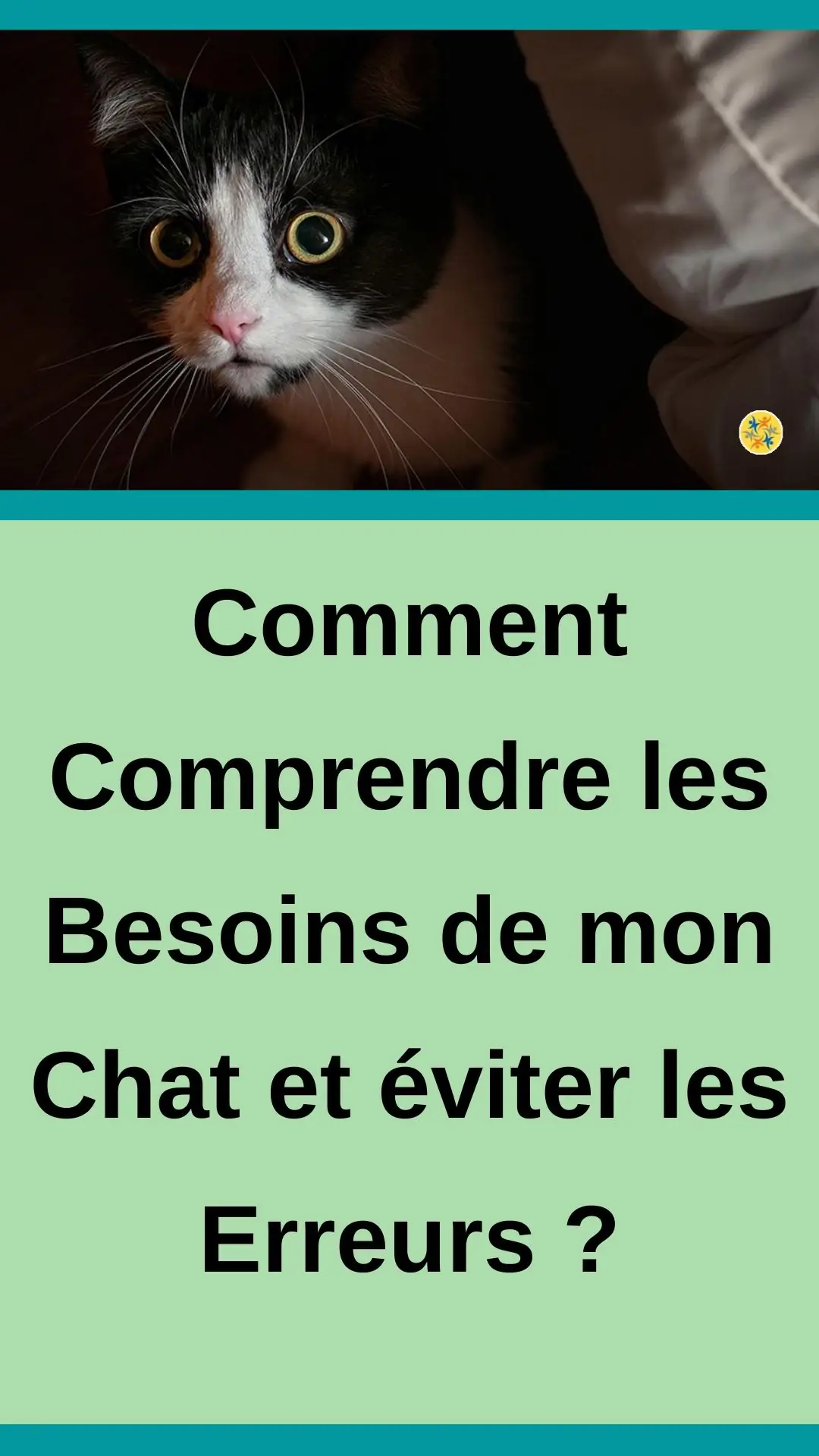 Conseils judicieux quand vous avez un chat 