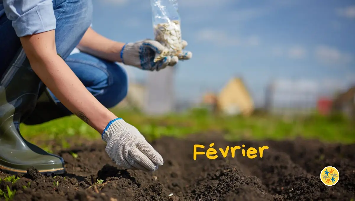 Que planter en février pour un jardin florissant?