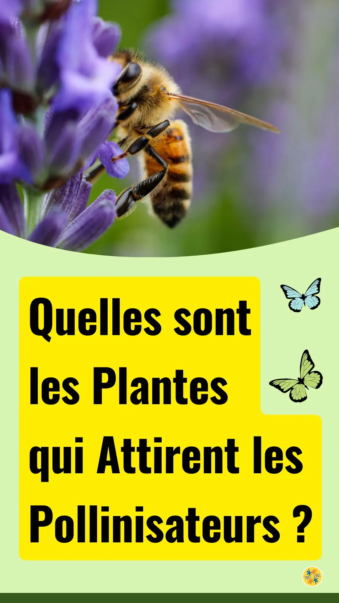 Aménagez un jardin accueillant pour les pollinisateurs