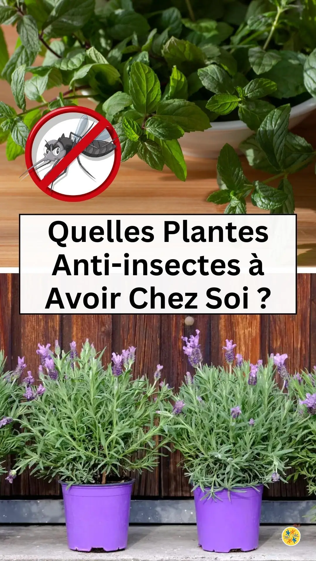 Cultiver quelques variétés répulsives de nuisibles 