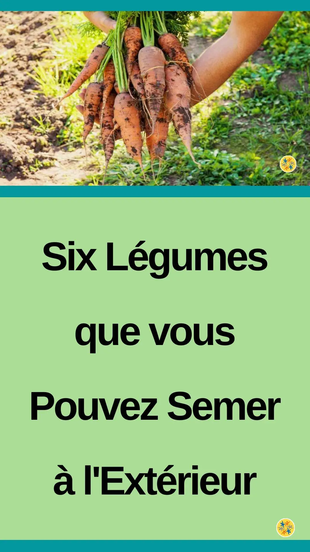 De plantes à semer en pleine terre dans votre potager 