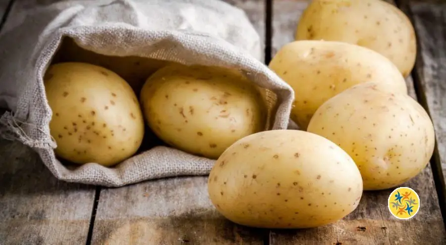 Chassez ces Parasites de chez Vous avec 6 Solutions 47 Astuce avec les pommes de terre pour piéger les insectes ravageurs