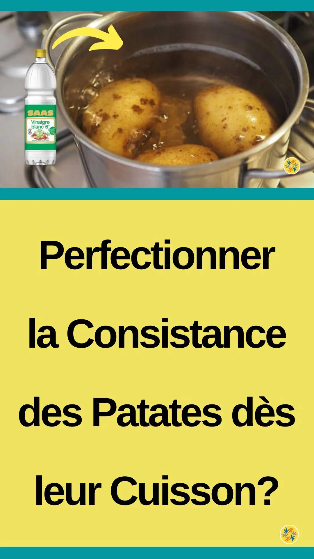 Conseils et infos pour bien cuire ses pommes de terre 