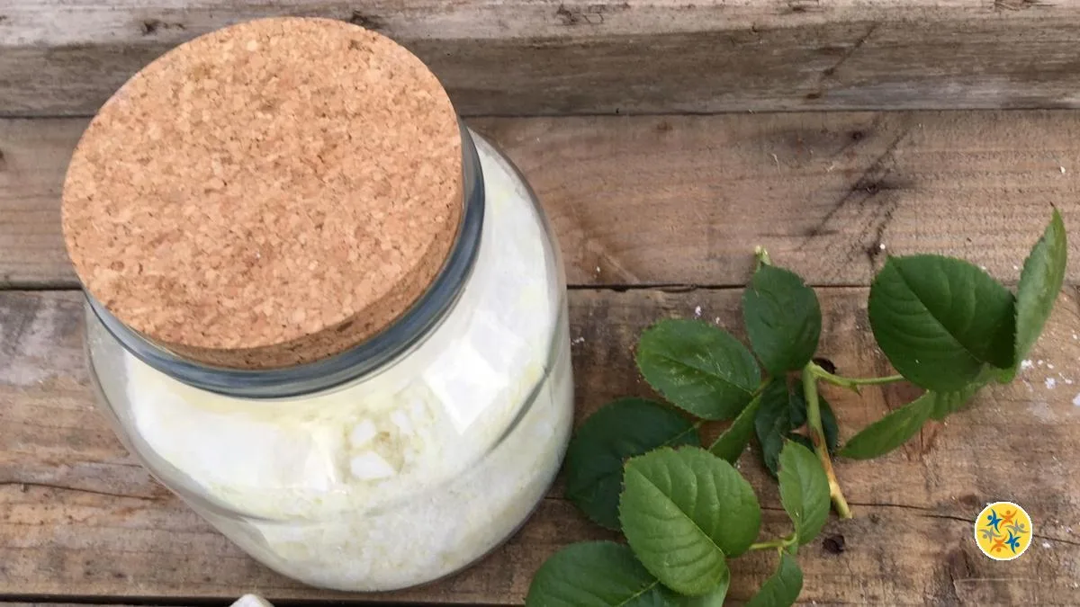 La Recette de Poudre Effervescente Pour Nettoyer les Toilettes