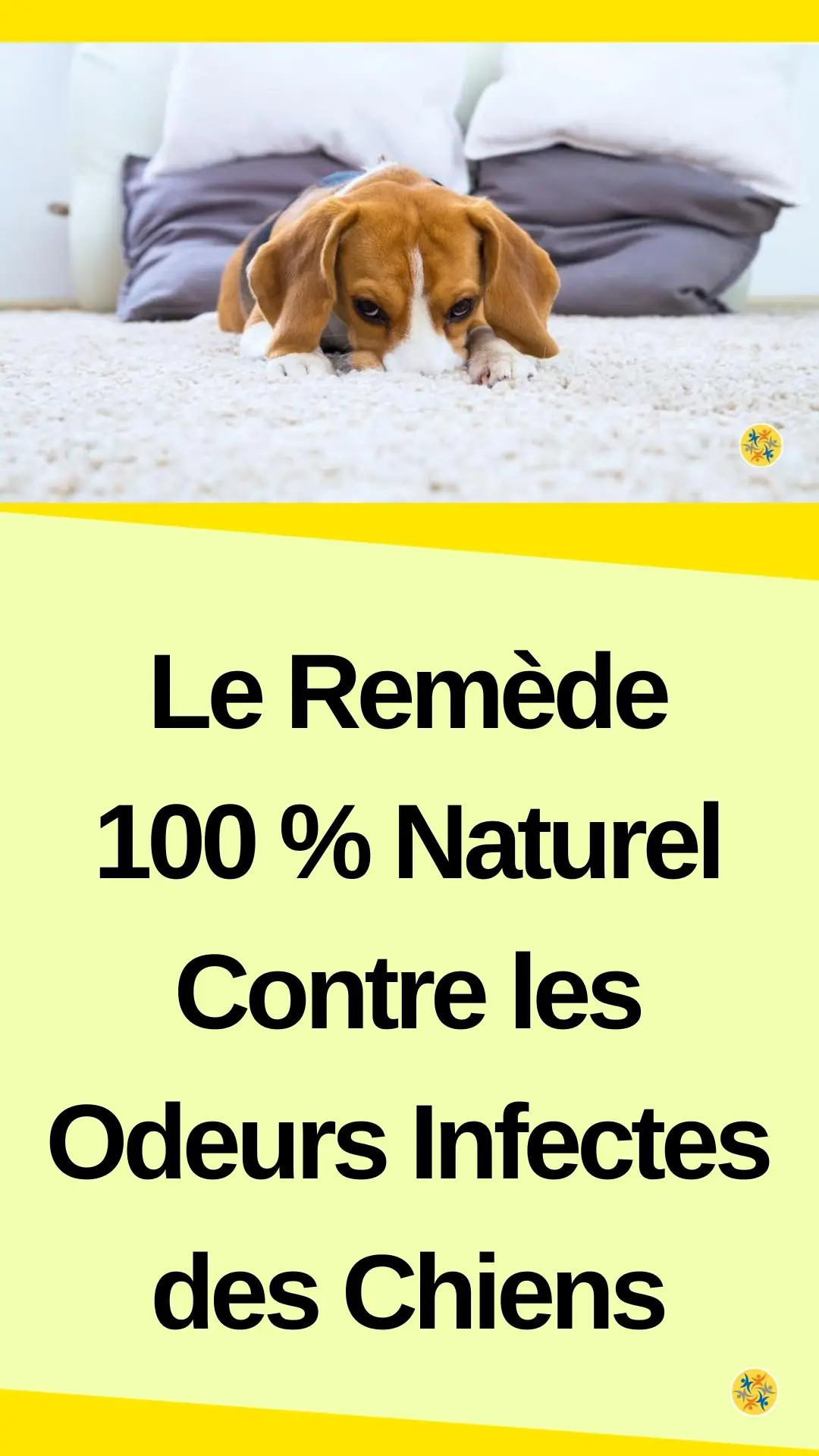Mode de fabrication d’un produit DIY et désodorisant pour chien 