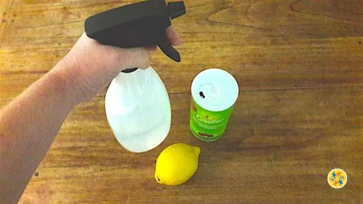 Recettes de Désodorisants Naturels : Parfumez Votre Maison avec du Citron