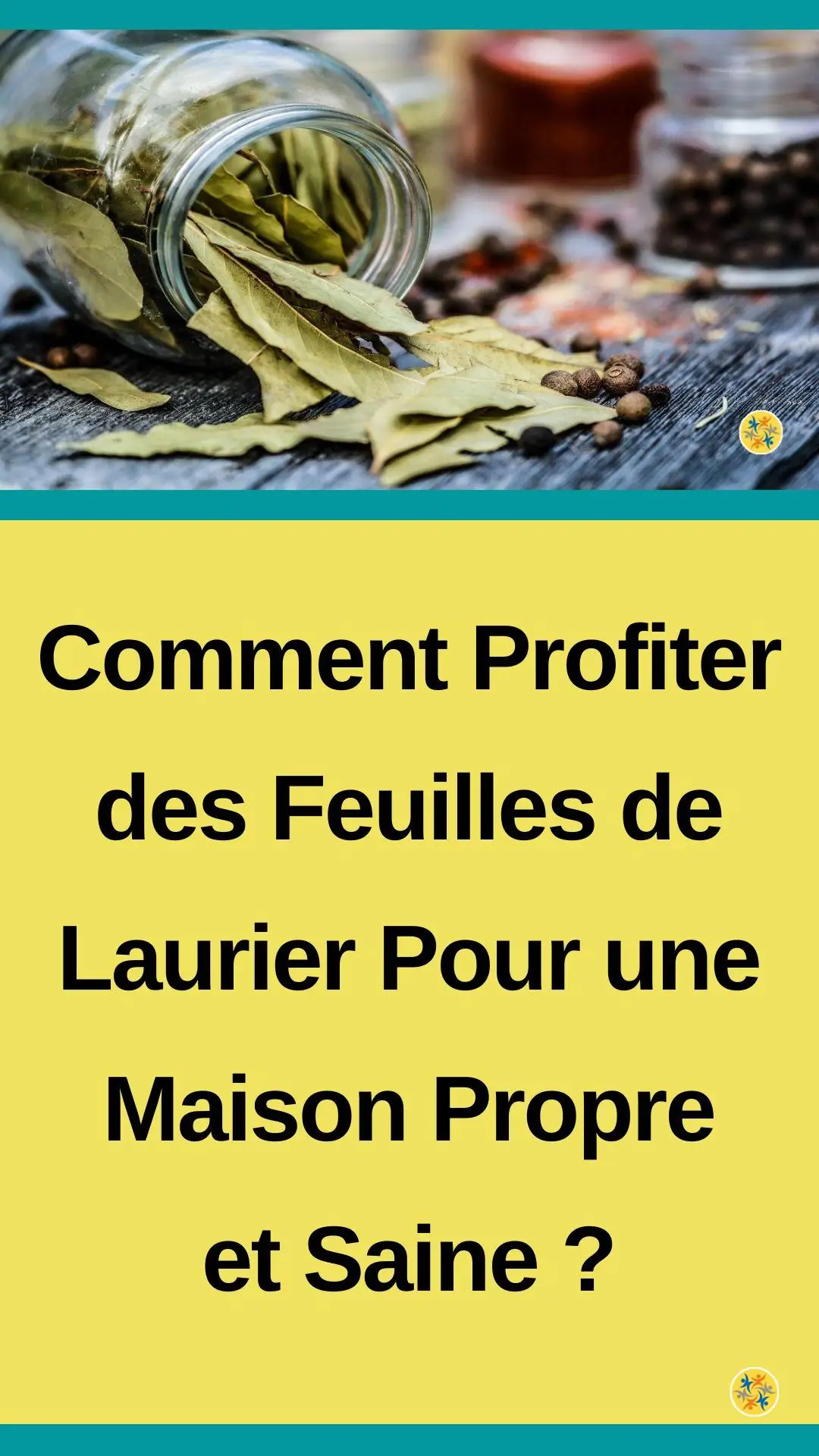 Utilisations des feuilles de laurier 