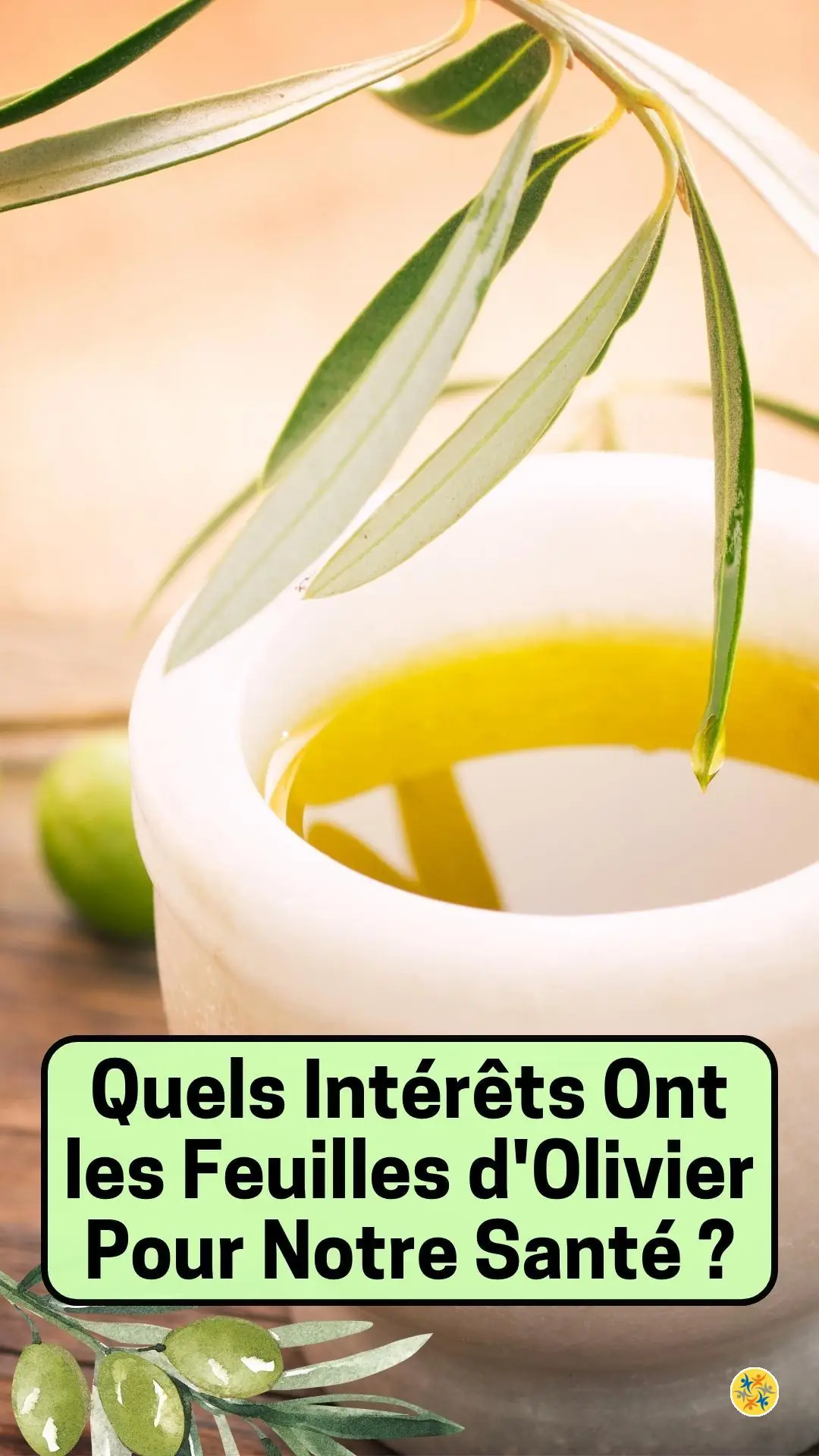 Exploiter les feuilles des olives comme remède naturel 