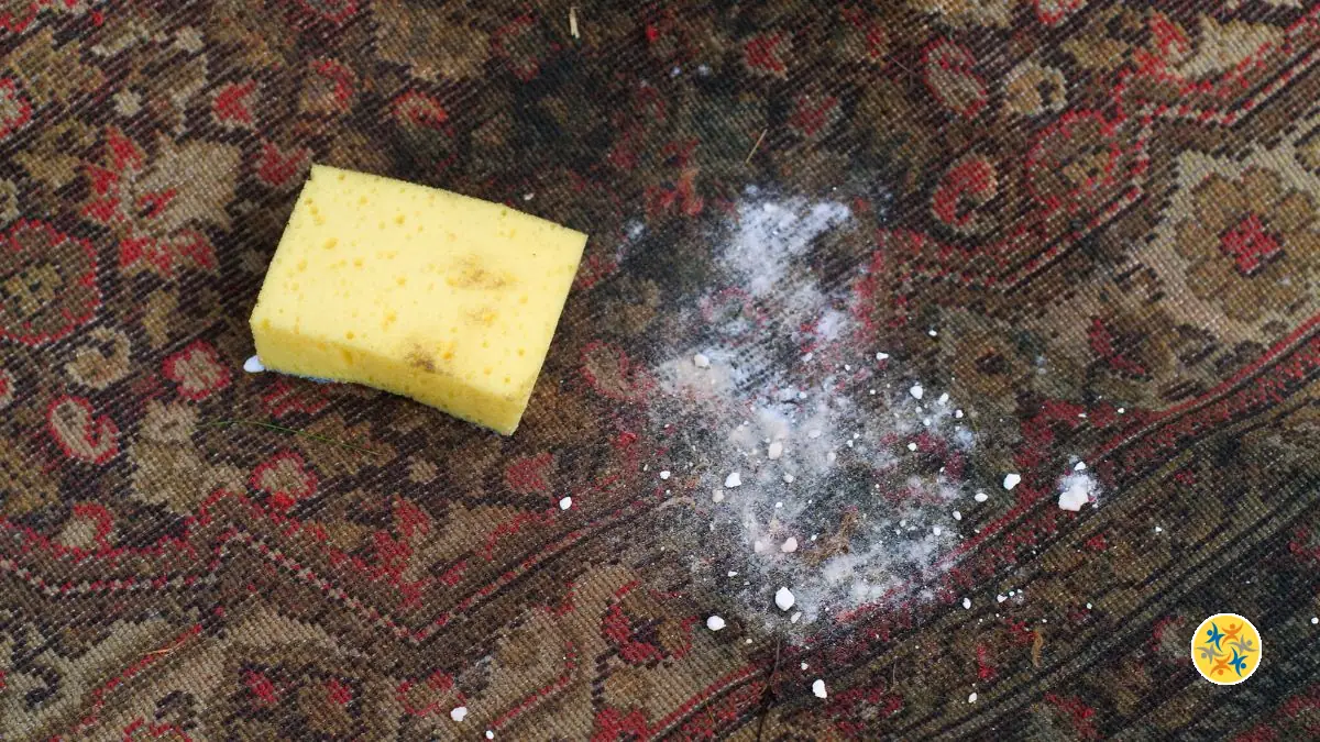 Astuce Naturelle : Comment Rafraîchir un Tapis avec du Bicarbonate de Soude