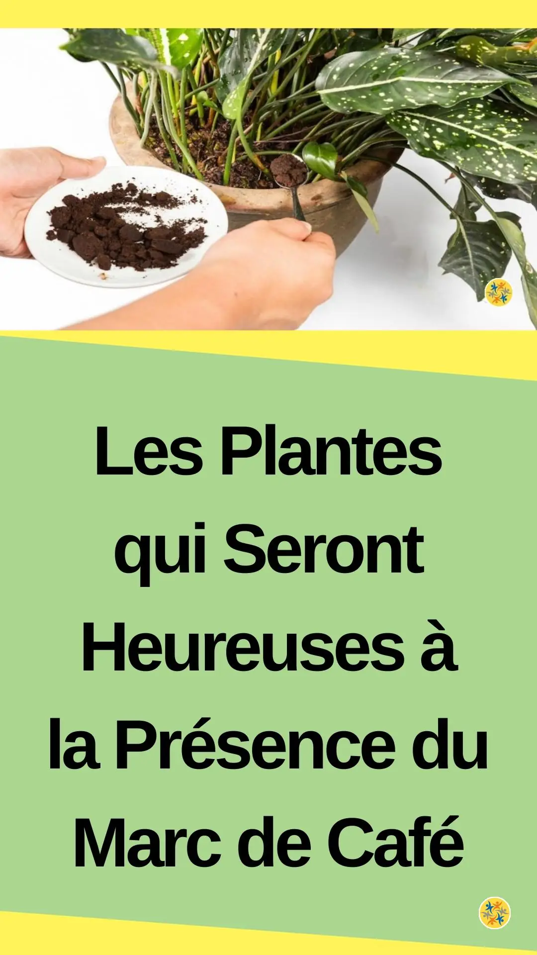 Nourrir et protéger naturellement nos plantes d'intérieur 