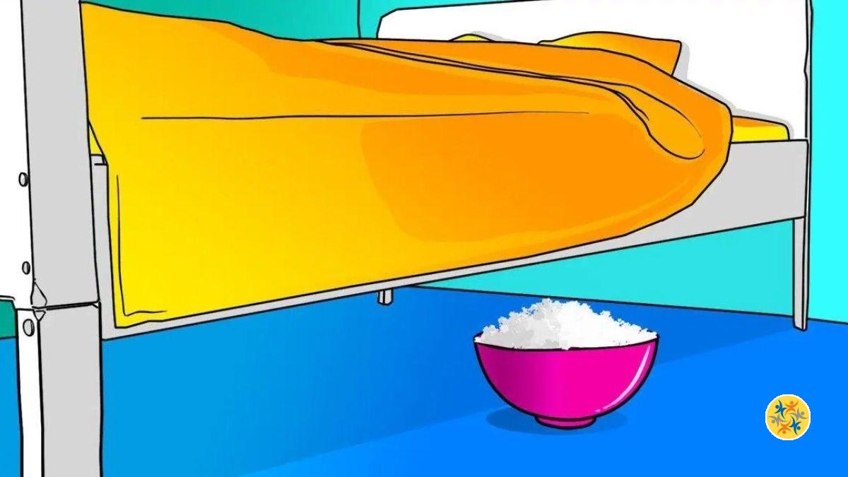 3 Raisons d'Avoir du Sel Chez soi et Partout