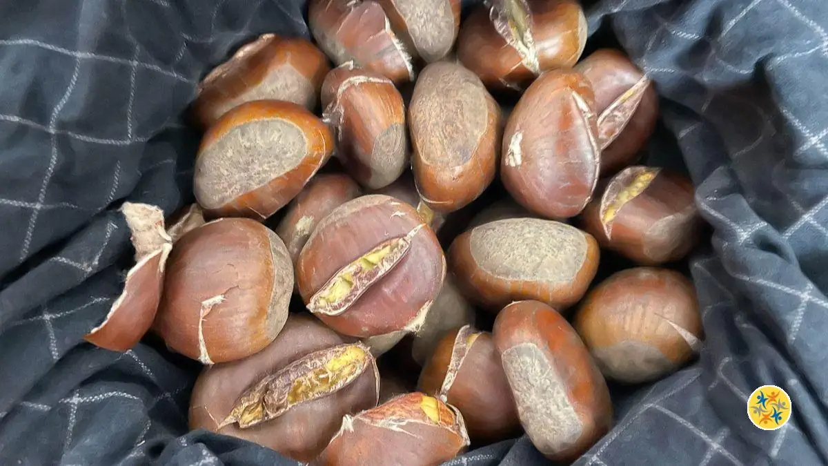 6 étapes pour une recette de châtaignes inoubliable