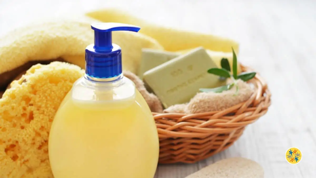 Comment Faire Un Gel Douche Avec Du Savon Maison