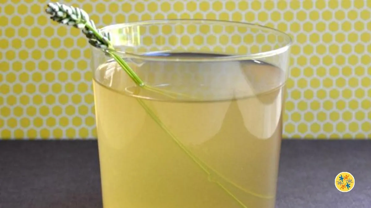 Comment Faire un Sirop Maison et L'Appliquer Contre la Toux?