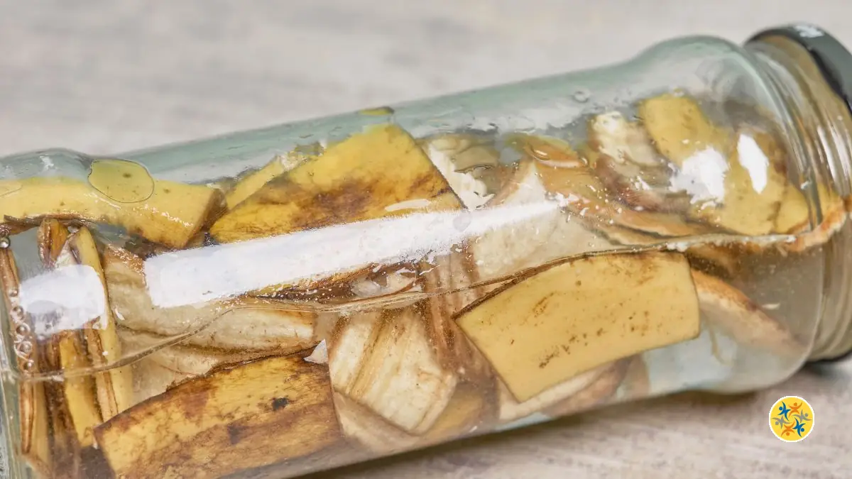 Recettes d’Engrais Biologiques Maison