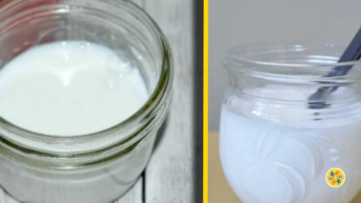 2 Recettes de Colle Vinylique Maison, Faciles, Rapides et Economiques