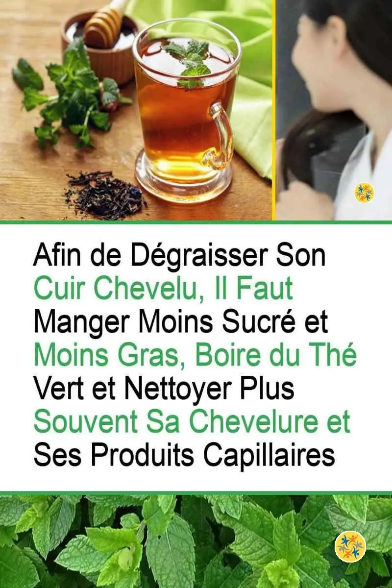 Dégraissez vos Cheveux en les Soignant de 5 Manières Différentes 12 Recommandations pour régler le problème des cheveux gras