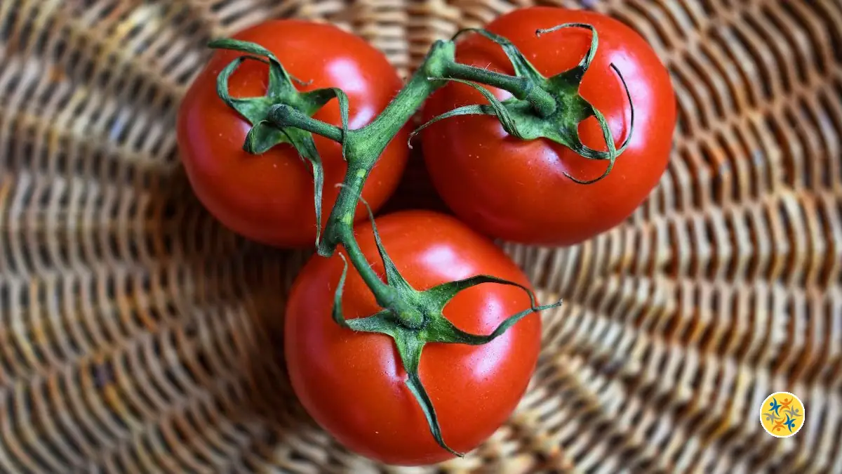 Comment Reconnaître une Tomate Mûrie Naturellement : L’Astuce à Connaître au Marché