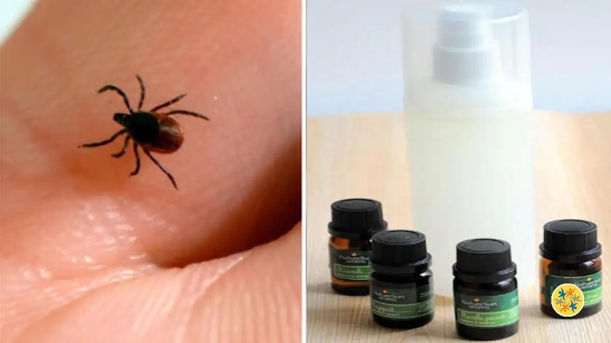 Comment Repousser les Tiques avec de l&rsquo;Huile Essentielle ?
