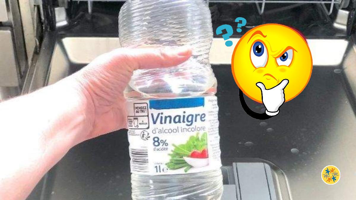 Yatil de Risque à Utiliser le Vinaigre Blanc Dans Votre Lavevaisselle