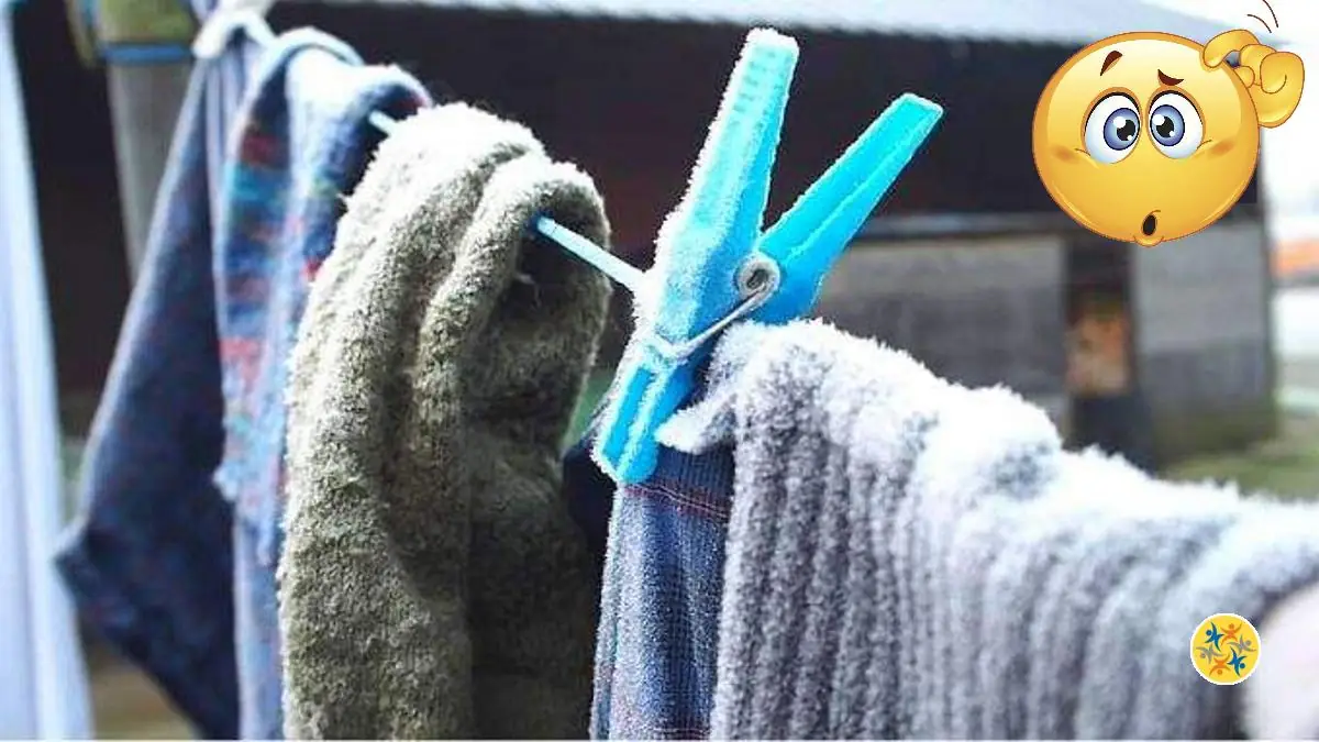 3 Raisons de Faire Sécher le Linge à l